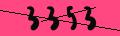 captcha-img